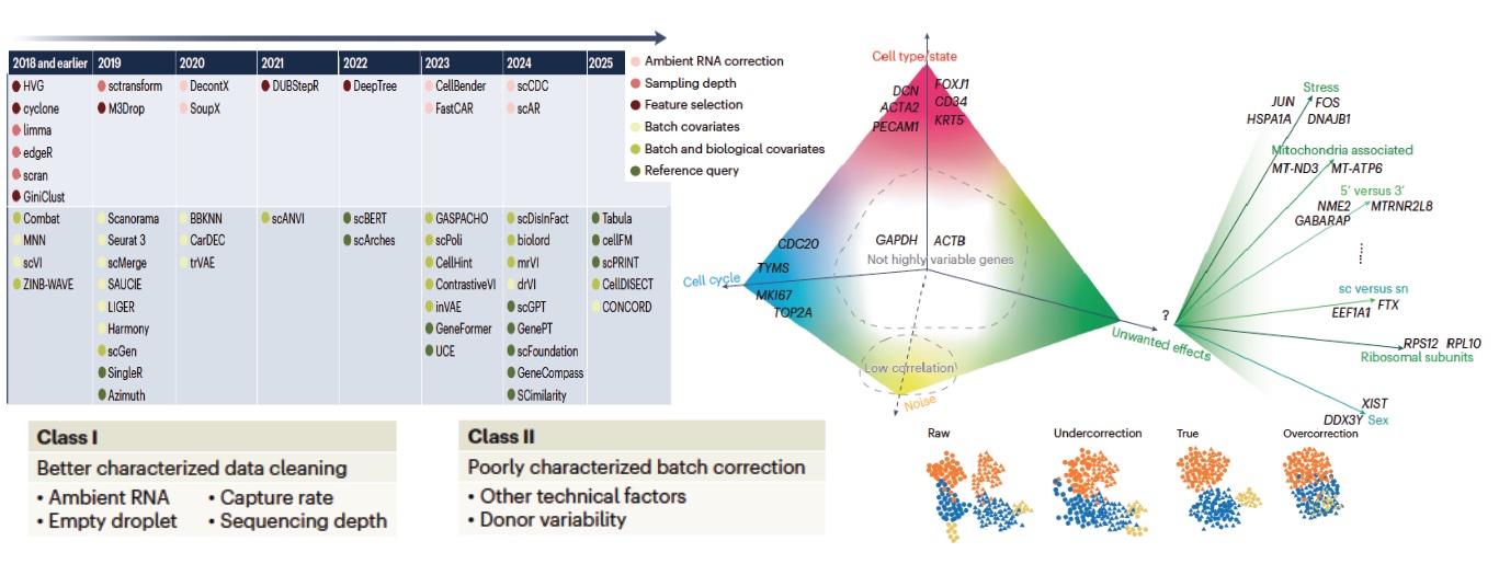 Batch correction perspective